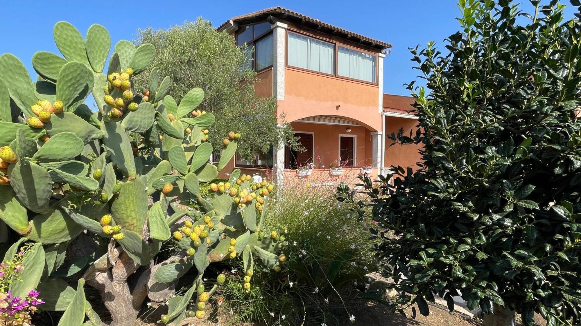 Sardegna - Villa Mirto & Flowers Olbia Exterior foto