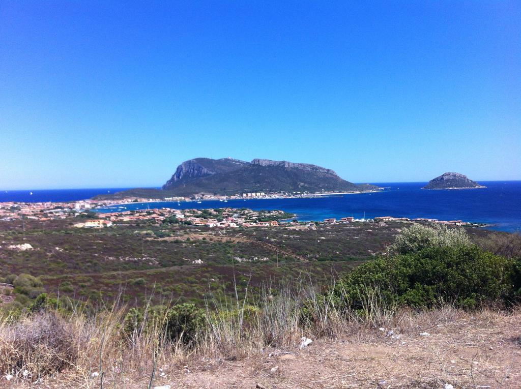 Sardegna - Villa Mirto & Flowers Olbia Exterior foto